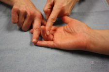 Flexor digitorum superficialis muscle :-