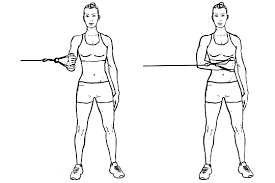 Cable Standing Shoulder Internal Rotation