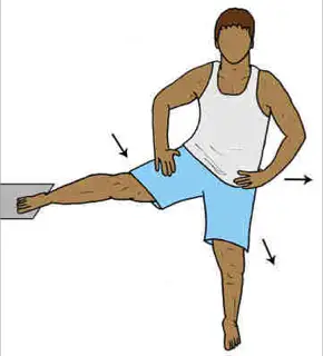 Gracilis muscle Exercise