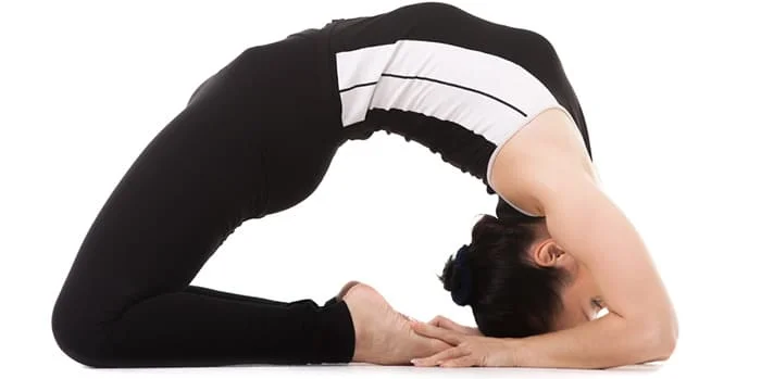 Kapotasana