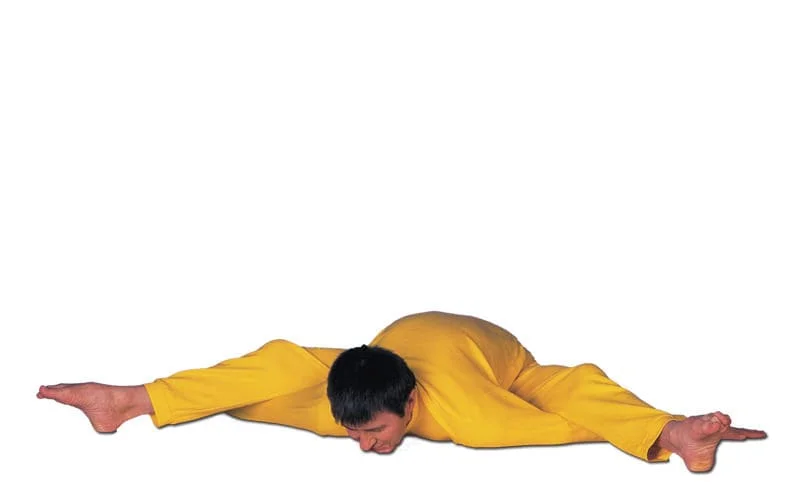 Kurmasana (Tortoise Pose)