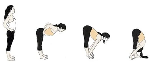 Steps of Uttanasana