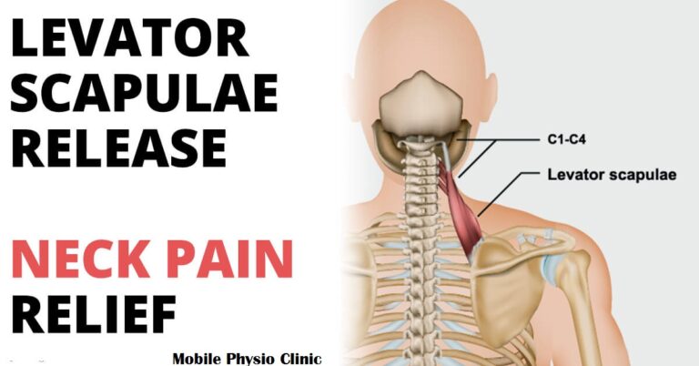 Levator scapulae syndrome : Physiotherapy Treatment
