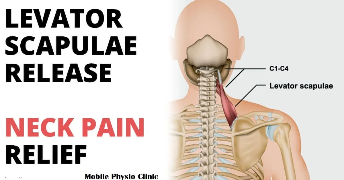 Levator scapulae syndrome