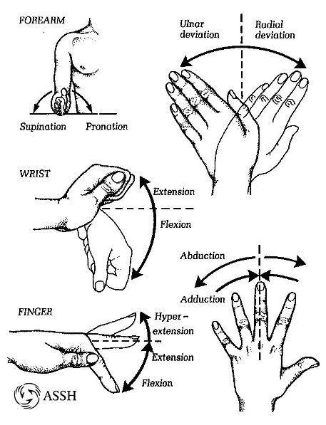 Hand and wrist mobilization :