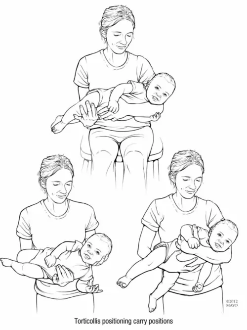 Main carrying position