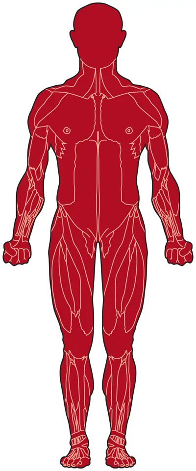 Congenital muscular dystrophy