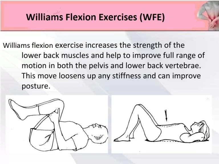 William’s Flexion exercises