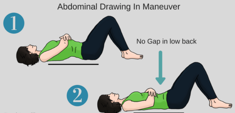 Abdominal Muscles Anatomy Function Exercise Mobile Physio Clinic