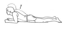 Self-stretching technique for elbow extensor in a prone propped position