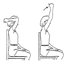 Strengthening of elbow extensors in sitting