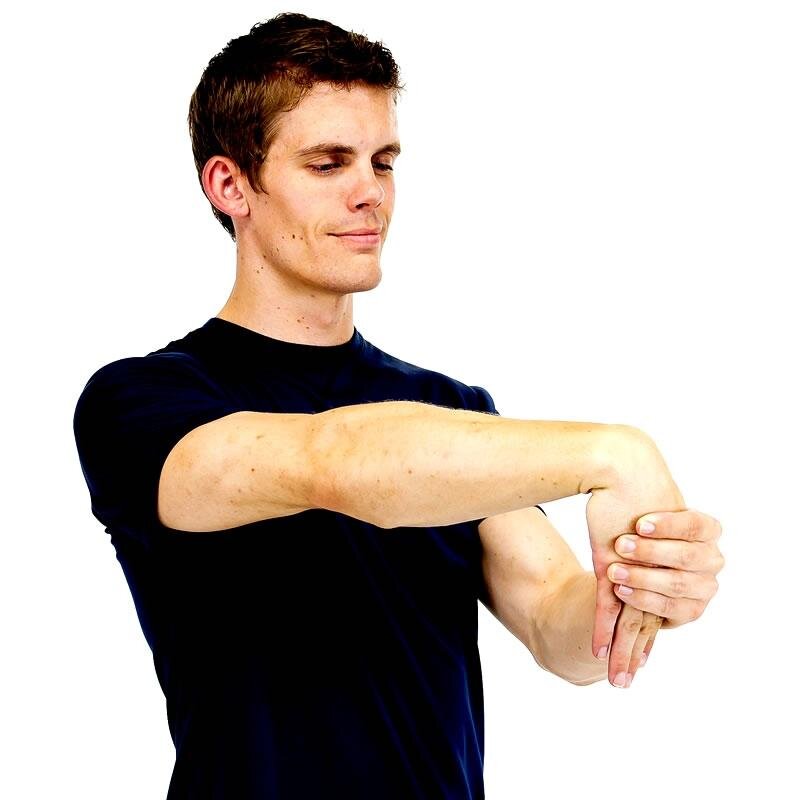 Stretching exercise of the extensors