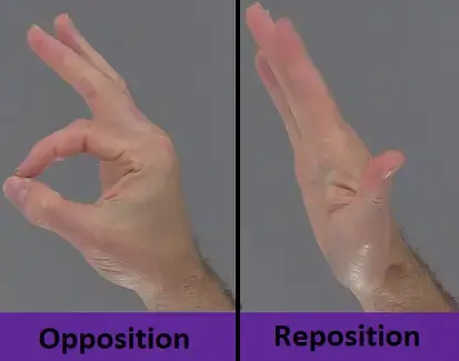 Opposition