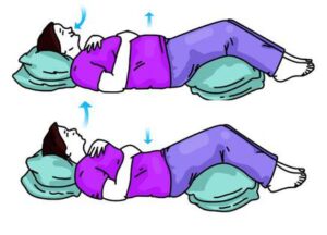 Diaphragm Muscle - Anatomy, Origin, Insertion, Function, Exercise