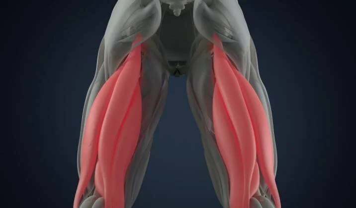 Hamstring muscles exercise