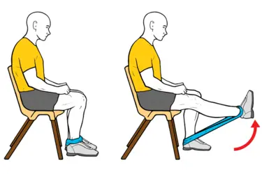 Knee Extension Exercise With Elastic Bands