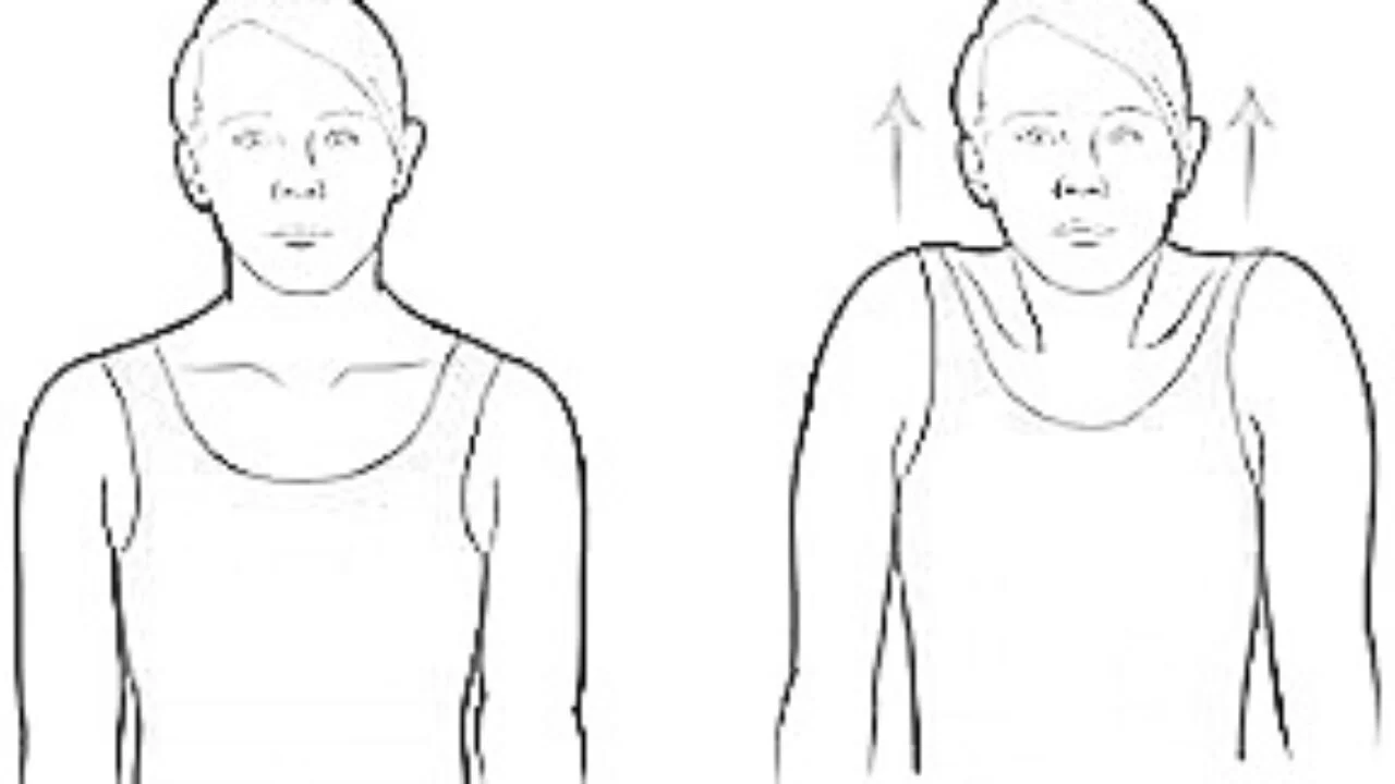 shoulder shrug exercise