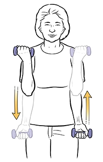 Biceps Curls Exercise