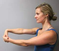 Wrist extensors stretch technique 1