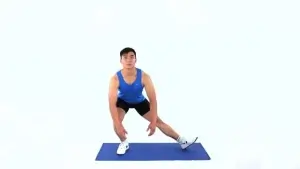 Adductor Lunge Stretch