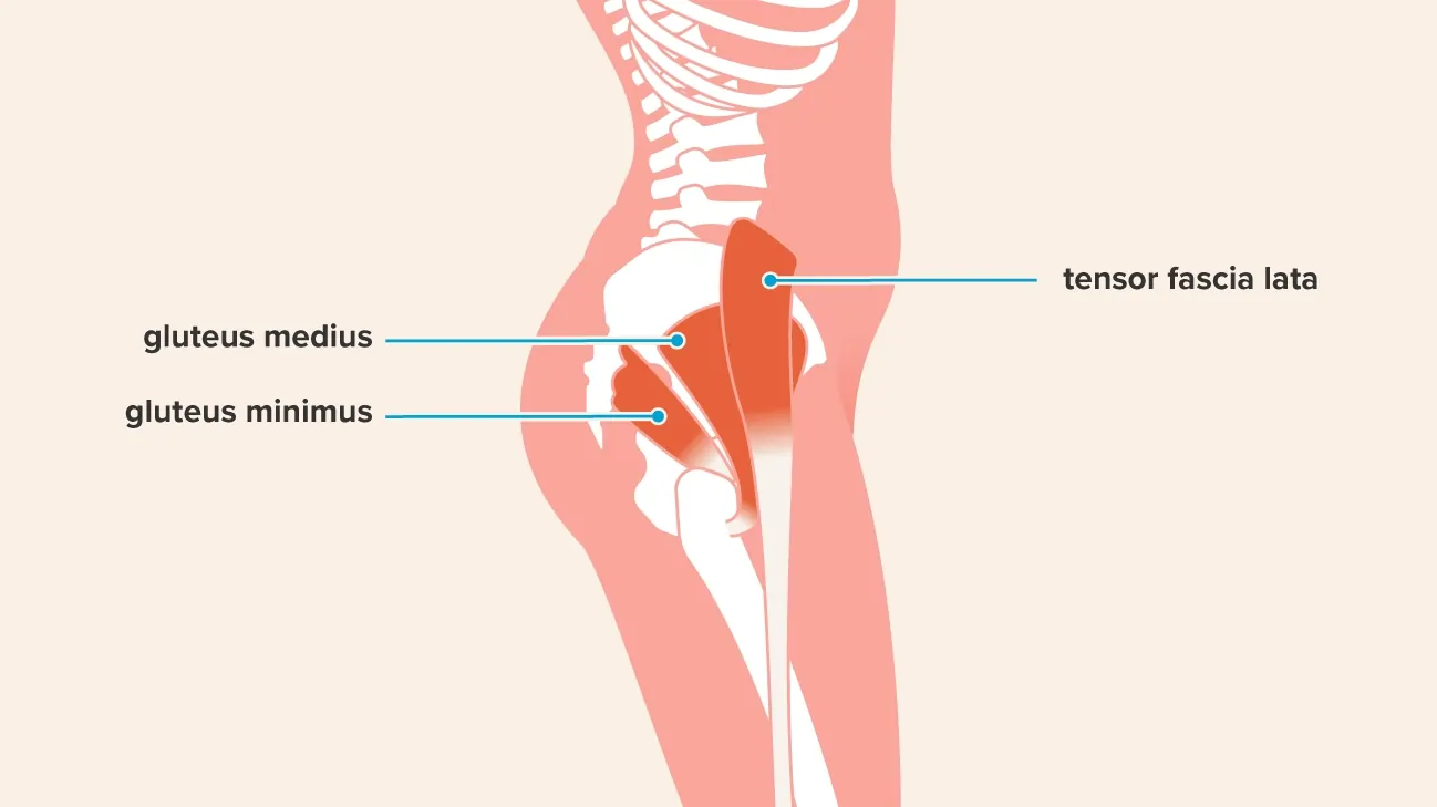 Hip abductors exercise