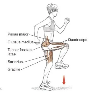 Hip flexors muscle exercise