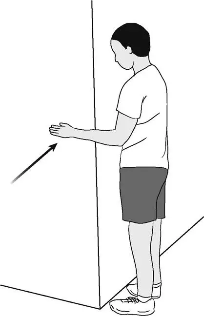 Isometric shoulder rotator cuff exercises internal rotation