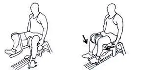 Seated Hip Adduction