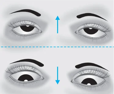 look up and down eye exercise