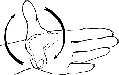 Thumb Circumduction