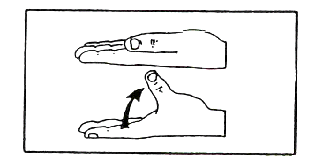 Thumb Palmar Abduction