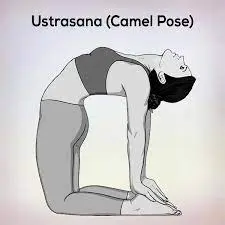 camel-pose