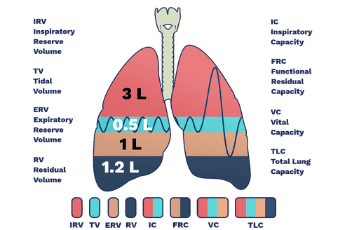 Lung Volume Capacity