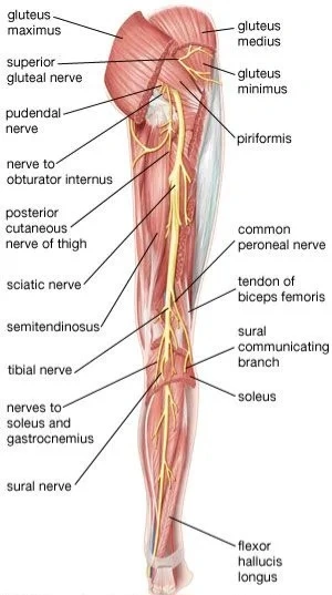 Home treatment of sciatic pain;