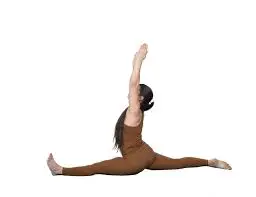 Iyengar-yoga
