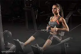 Seated Cable Row