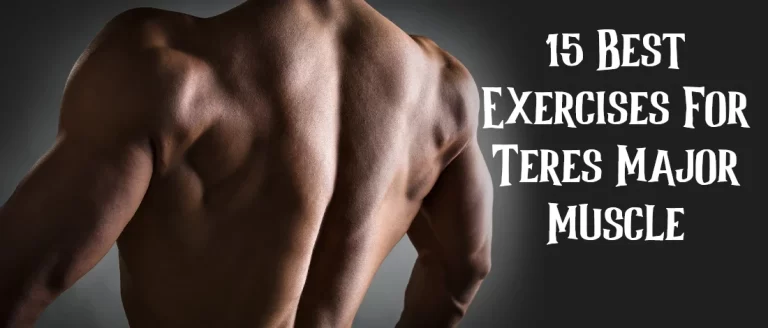 15 Best Exercises For Teres Major Muscle