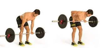 Bent-Over Barbell Row