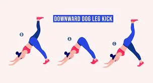 Downward Dog Leg Kick