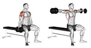 Dumbbell lateral raises while seated