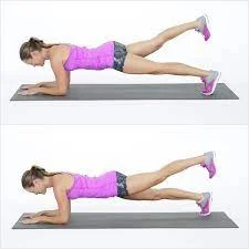 Elbow Plank With Leg Lift