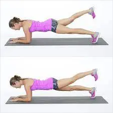 Forearm Plank Leg Lift