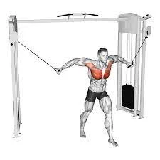 Low to High Cable Chest Fly