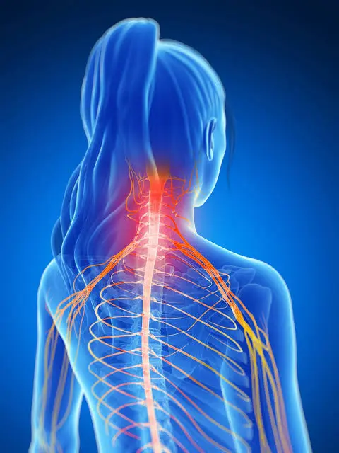 Shoulder Pain with Neck Pain