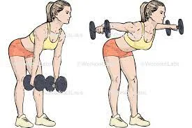Standing bent-over lateral raise