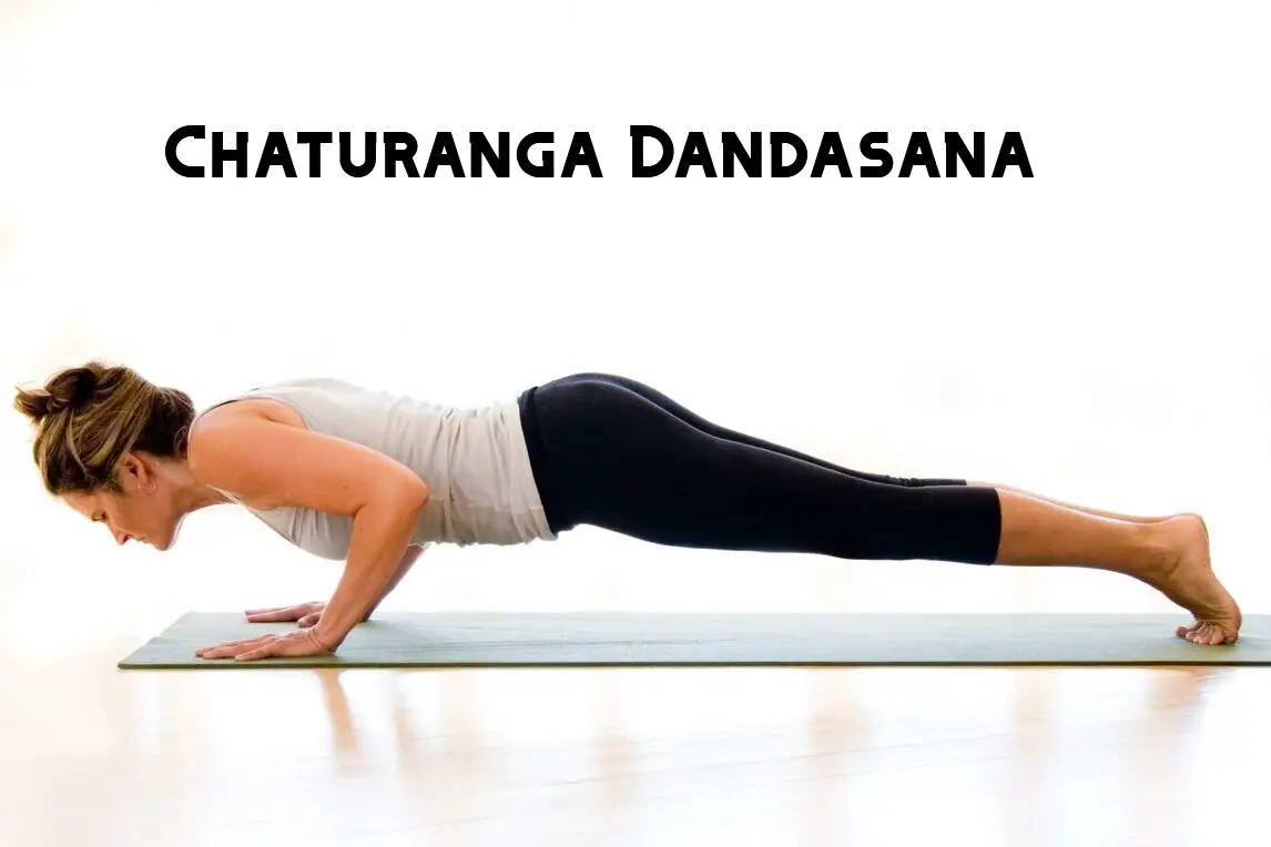 Reverse Plank | Upward Plank Pose: How to Practice Purvottanasana