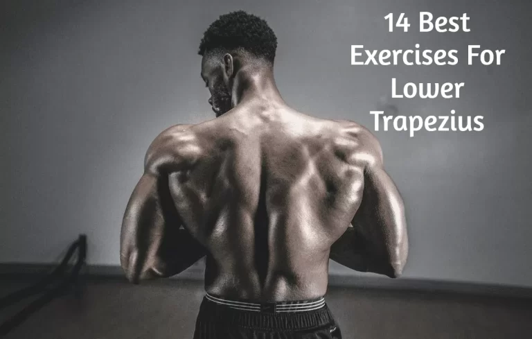 14 Best Exercises For Lower Trapezius