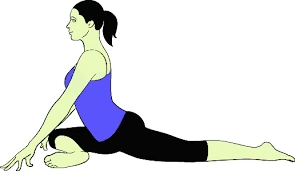 Kapotasana (Pigeon Pose)
