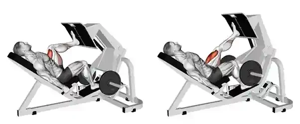 Single Leg Press
