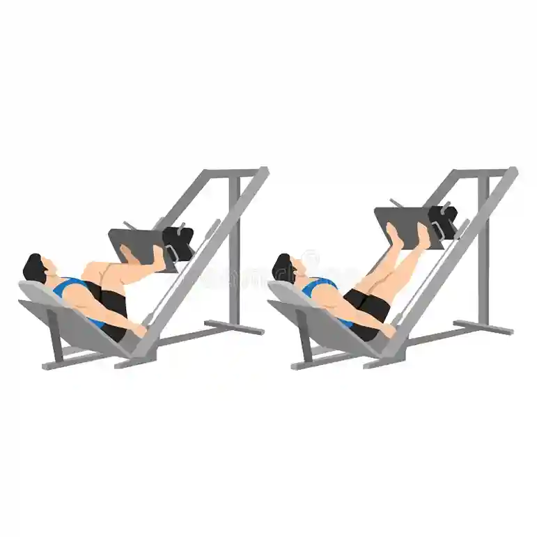 Standard Leg Press